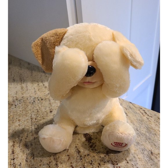Play Right Toys Playright Peekaboo Puppy Dog Plays Hides His Eyes